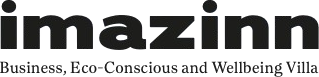 Logo Imazinn